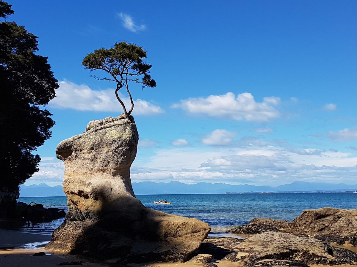 Abel Tasman Sands Bnb Riwaka Exteriér fotografie